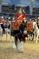 Cavalry - 00306